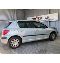 Mastervac PEUGEOT 307 Photo n°8