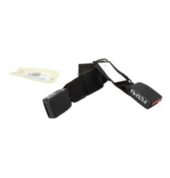 Attache ceinture arriere droit NISSAN QASHQAI 1 Photo n°1