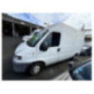 Retroviseur droit FIAT DUCATO 2