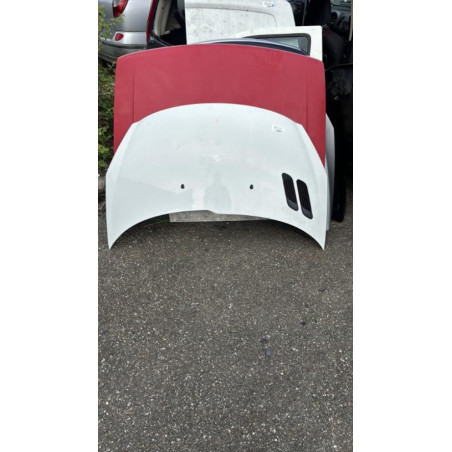 Capot PEUGEOT 206+ Photo n°1