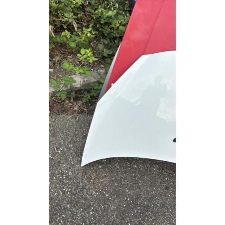 Capot PEUGEOT 206+