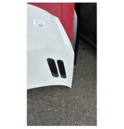 Capot PEUGEOT 206+ Photo n°3