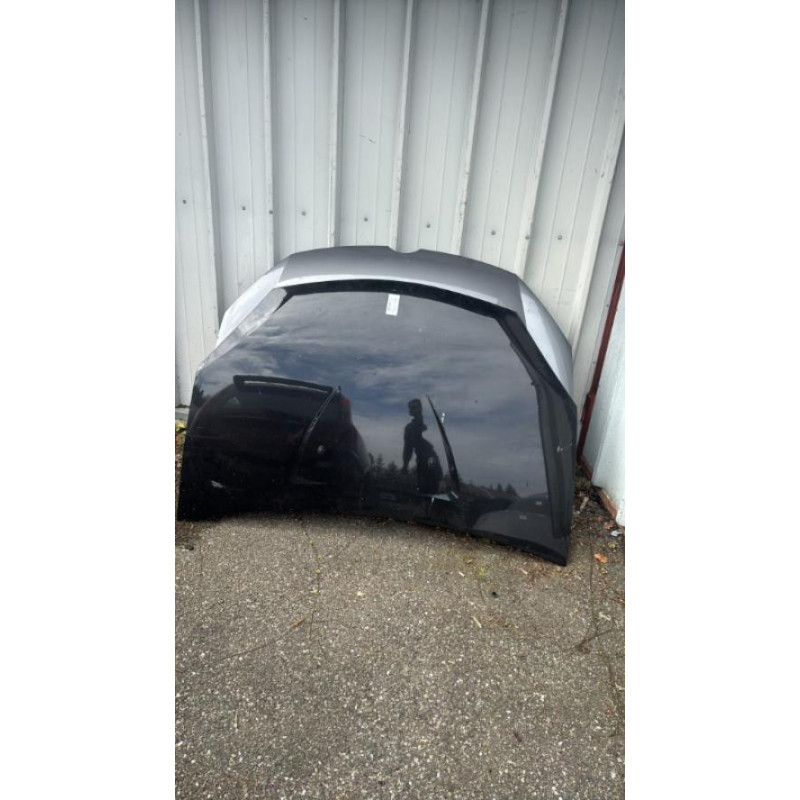 Capot DACIA SANDERO 1