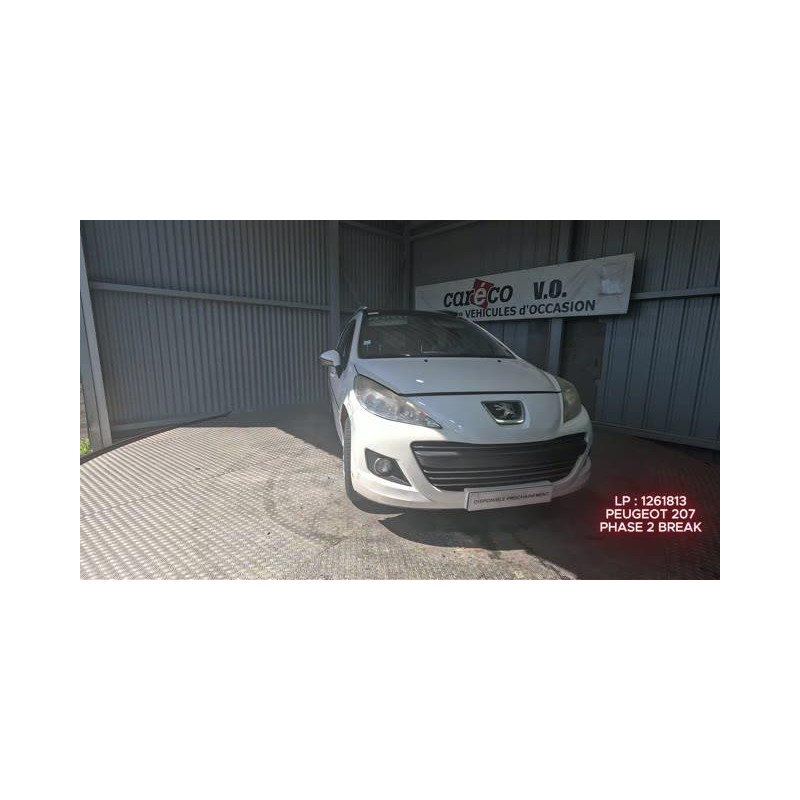 Mastervac PEUGEOT 207
