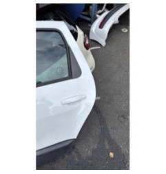 Porte arriere gauche DACIA DUSTER 1 Photo n°3