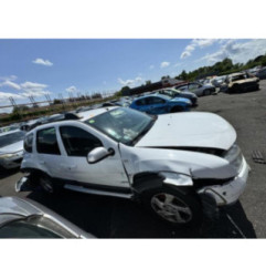 Porte arriere gauche DACIA DUSTER 1 Photo n°9