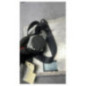 Ceinture avant droit PEUGEOT 607