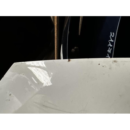 Capot DACIA SANDERO 1 Photo n°1