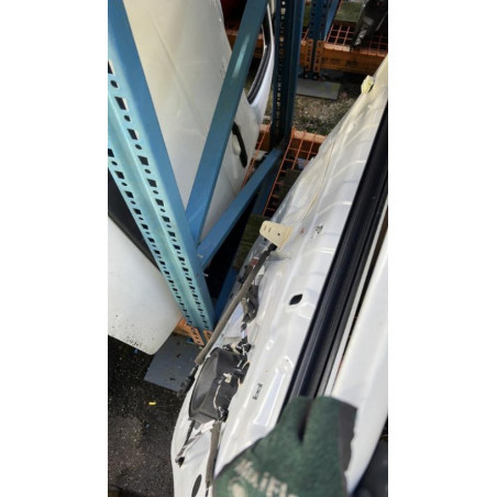 Porte avant gauche RENAULT ZOE 1