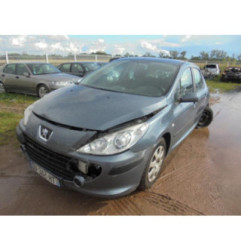 Debitmetre PEUGEOT 307 Photo n°7