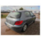 Debitmetre PEUGEOT 307