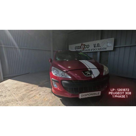 Mastervac PEUGEOT 308 1 Photo n°1