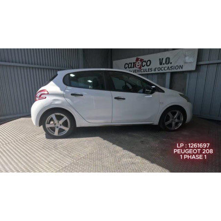 Mastervac PEUGEOT 208 1