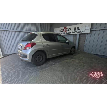 Baguette de porte avant droite PEUGEOT 207