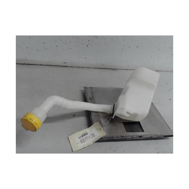 Vase de lave glace RENAULT ZOE 1