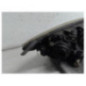 Optique avant principal gauche (feux)(phare) MAZDA 3 1
