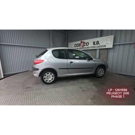 Mastervac PEUGEOT 206