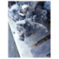 Boite de vitesses RENAULT EXPRESS