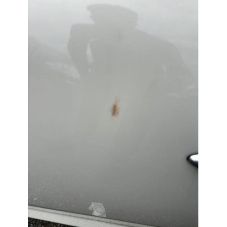 Porte avant gauche ALFA ROMEO MITO