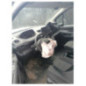 Commande chauffage PEUGEOT PARTNER 3