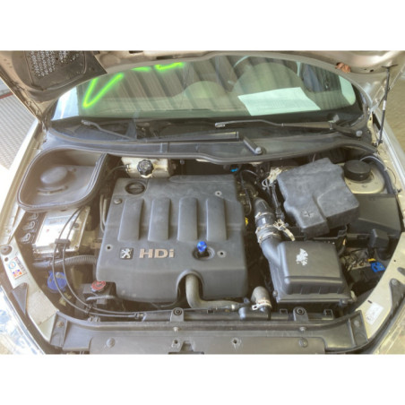 Mastervac PEUGEOT 206