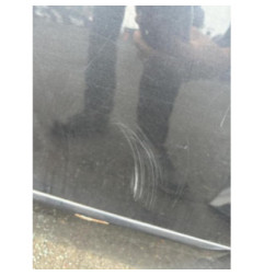 Porte arriere gauche FORD S-MAX 1 Photo n°3