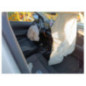 Compteur CITROEN C4 CACTUS
