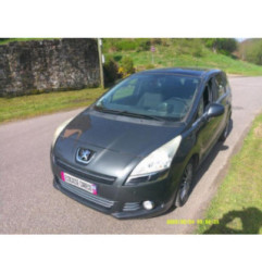 Porte arriere gauche PEUGEOT 5008 1 Photo n°19