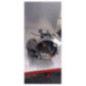 Boite de vitesses SEAT IBIZA 4