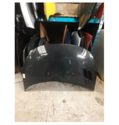 Capot PEUGEOT 206+ Photo n°1