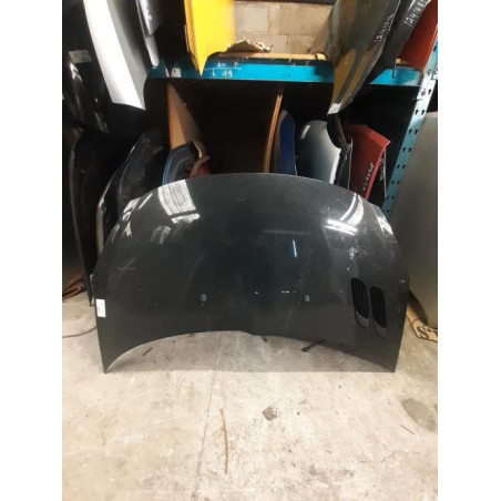 Capot PEUGEOT 206+ Photo n°1