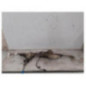 Cremaillere assistee VOLKSWAGEN GOLF 7