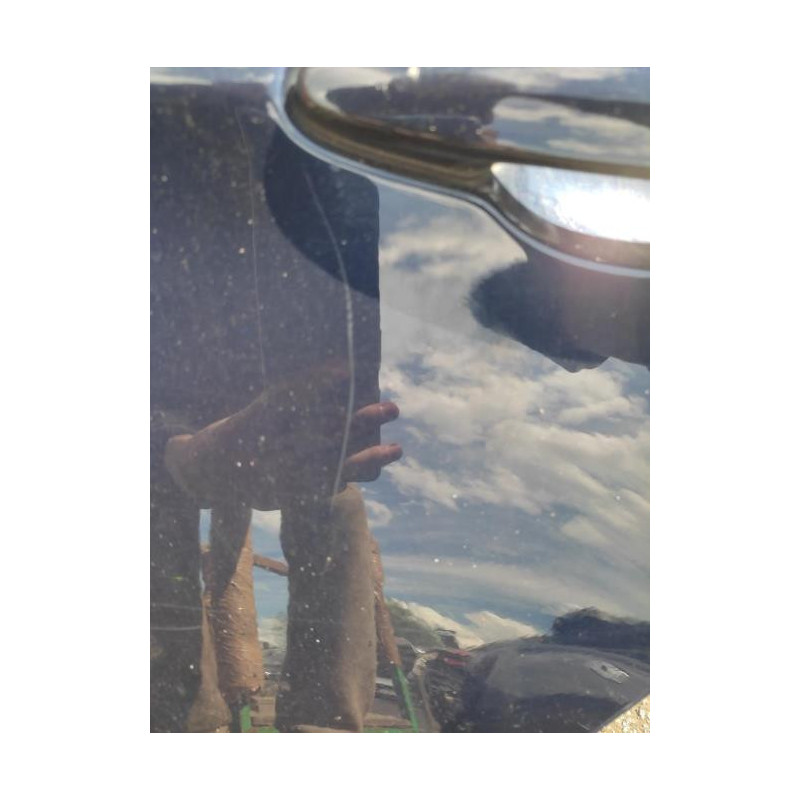 Porte arriere gauche BMW SERIE 3 E91