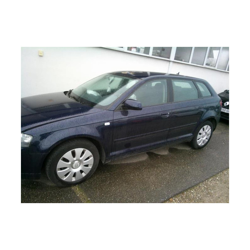 Porte avant gauche AUDI A3 2