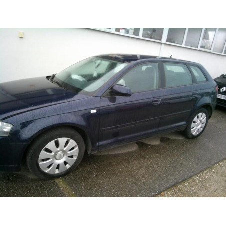 Porte avant gauche AUDI A3 2 Photo n°1