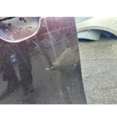 Porte avant gauche DAIHATSU MATERIA Photo n°3