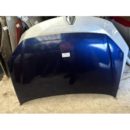 Capot VOLKSWAGEN POLO 4 Photo n°1