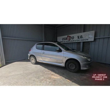 Mastervac PEUGEOT 206
