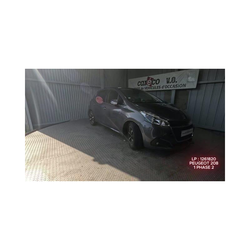 Mastervac PEUGEOT 208 1
