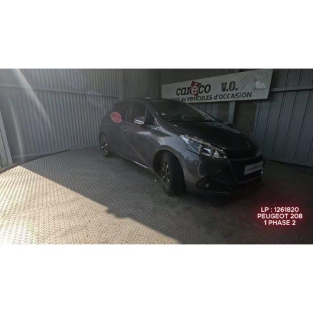 Mastervac PEUGEOT 208 1 Photo n°1