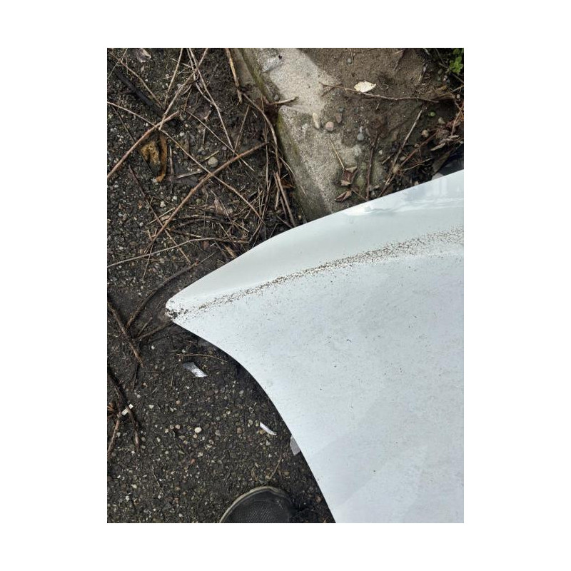 Capot RENAULT MEGANE 3