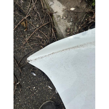 Capot RENAULT MEGANE 3 Photo n°1