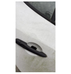 Porte arriere droit RENAULT MEGANE 3 Photo n°3