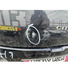 Porte avant gauche CITROEN DS3 Photo n°12