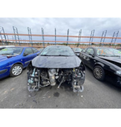 Porte avant gauche CITROEN DS3 Photo n°13