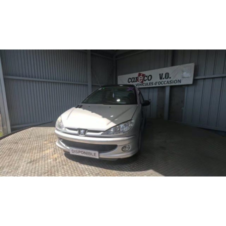 Mastervac PEUGEOT 206 Photo n°1