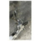 Cremaillere assistee CITROEN C4 GRAND PICASSO 2
