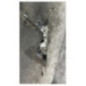 Cremaillere assistee CITROEN C4 GRAND PICASSO 2