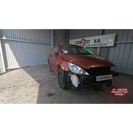 Mastervac PEUGEOT 307 Photo n°1