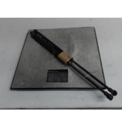 Verin de coffre CITROEN DS3 Photo n°1